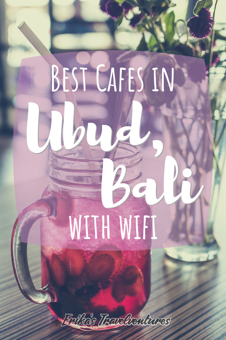 Best Cafes in Ubud with WiFi | Erika's Travelventures