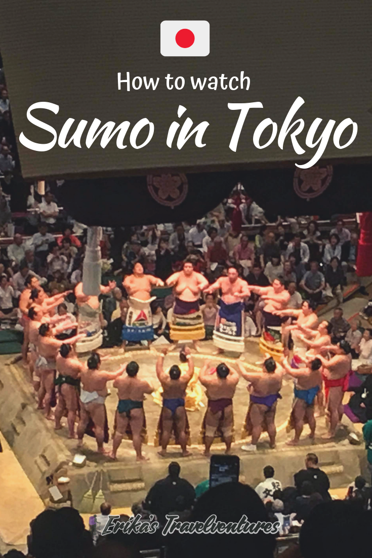 How To Watch Sumo Wrestling In Tokyo, Japan Erika's Travelventures