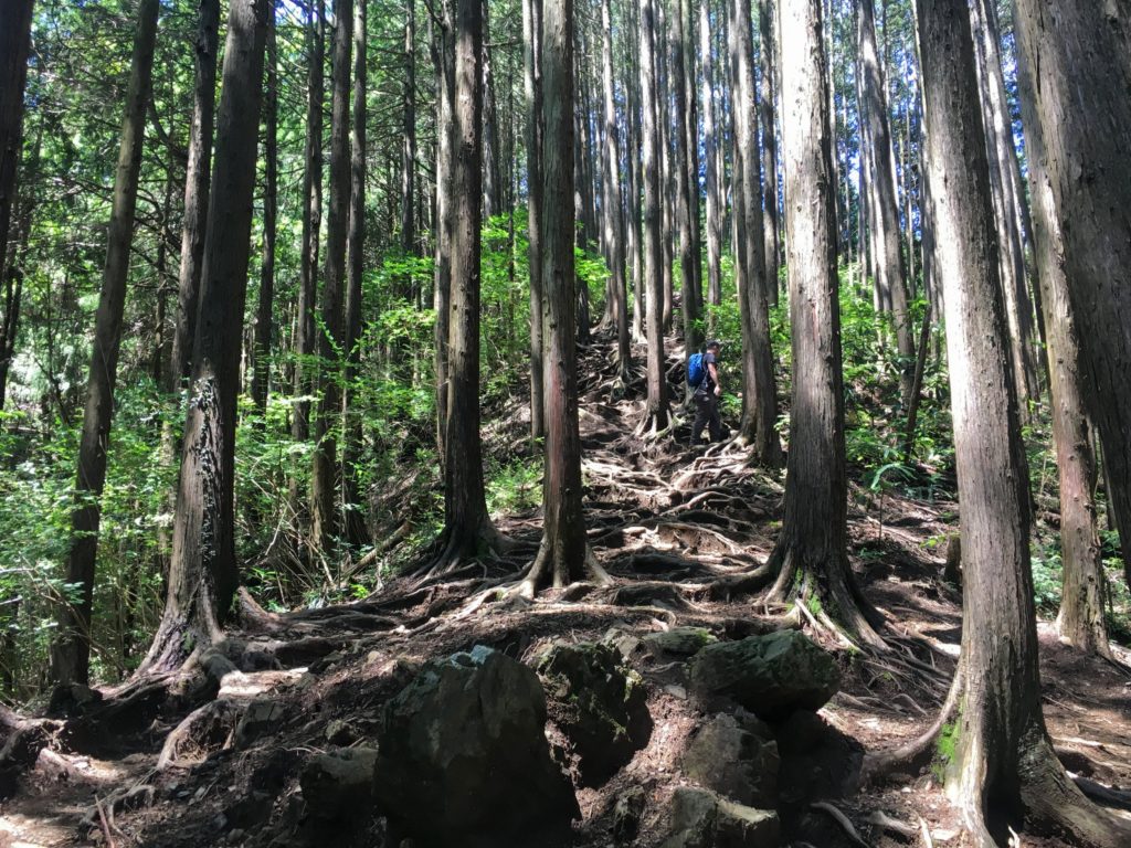 Hiking Mt. Jinba to Mt. Takao, how to get to Mt. Jinba start of the trek from Mt. Jinba to to Takao-san