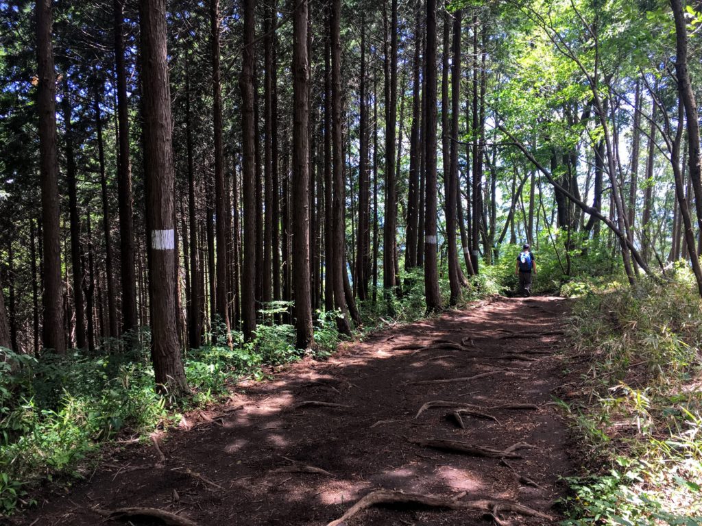 Hiking Mt. Jinba to Mt. Takao, how to get to Mt. Jinba start of the trek from Mt. Jinba to to Takao-san