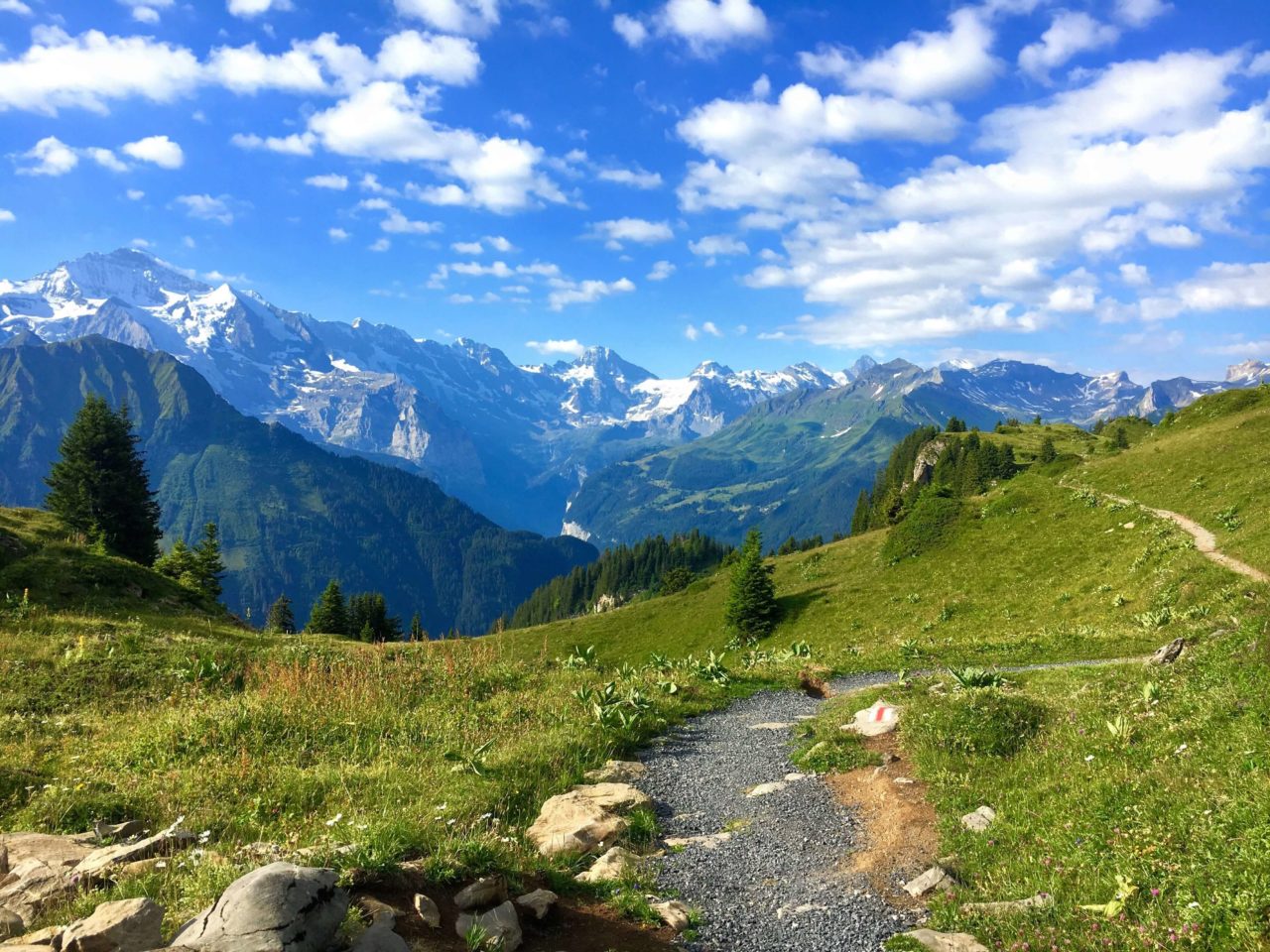 Schynige Platte to First, Grindelwald Hike in Switzerland - Erika's ...