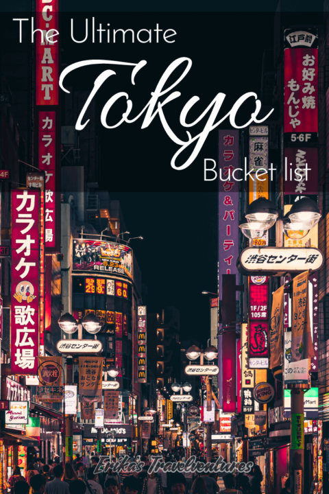 Top Things To Do In Tokyo - Erika's Travelventures