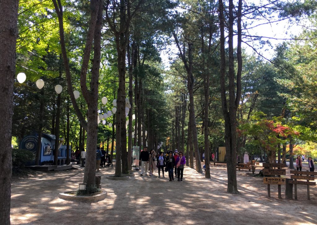 DIY Trip to Nami Island from Seoul, how to get there, things to do on Nami Island, Do it yourself trip to Nami Island without a tour from Seoul Winter Sonata