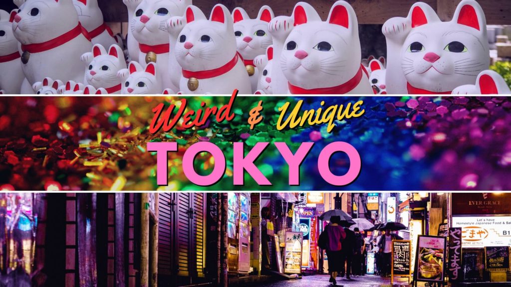 30 Cute and Kawaii Things to do in Tokyo - Erika's Travelventures