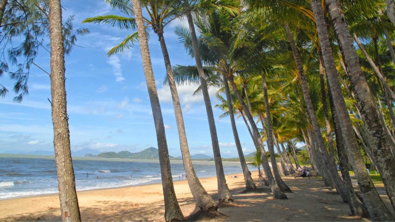 6 Things to Do on the Cairns to Port Douglas Drive - Erika's Travelventures