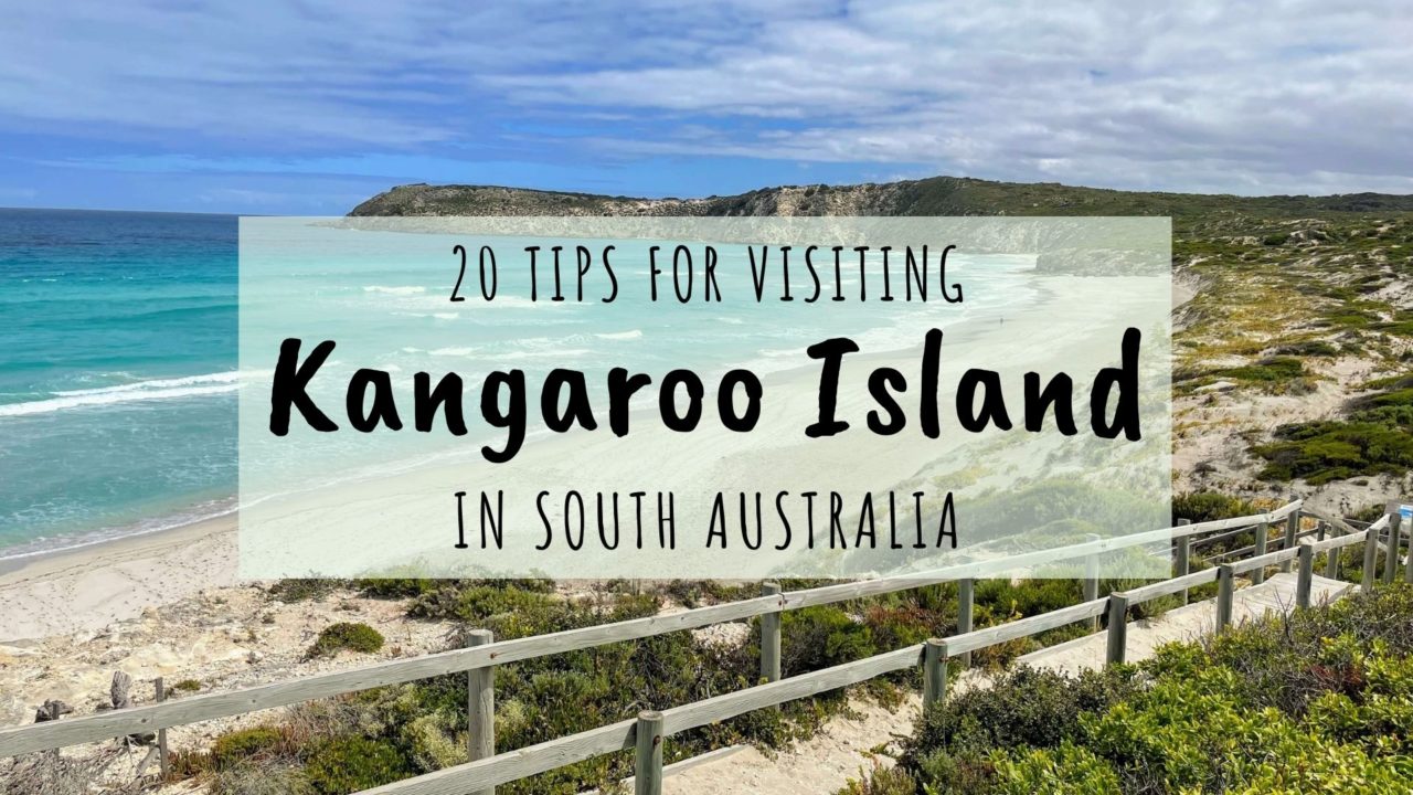 20 Must-Read Tips For Visiting Kangaroo Island, South Australia - Erika ...