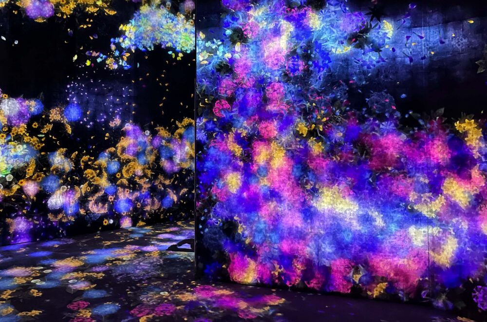 Teamlab Borderless vs Teamlab Planets: Which Is Better? - Erika's ...